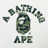 Bape x Kaws Bendy Camo Longsleeve