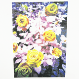 Bape Hiroshi Nomura Tee