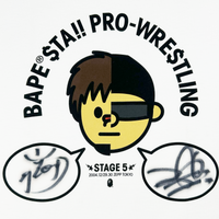 Bape Sta Pro-Wrestling Nigo Signed Tee