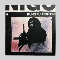 Nigo Kung Fu Fightin Vinyl Record