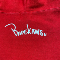 Kaws ASNKA Zip Up